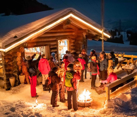 Christmas in the woods