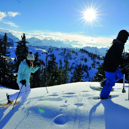 Schneeschuhlaufen (geführt)